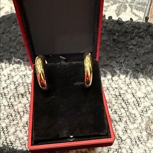 Elegant Gold Hoop Earrings